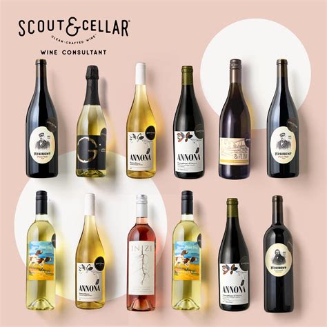 Scout and cellar wine. Things To Know About Scout and cellar wine. 
